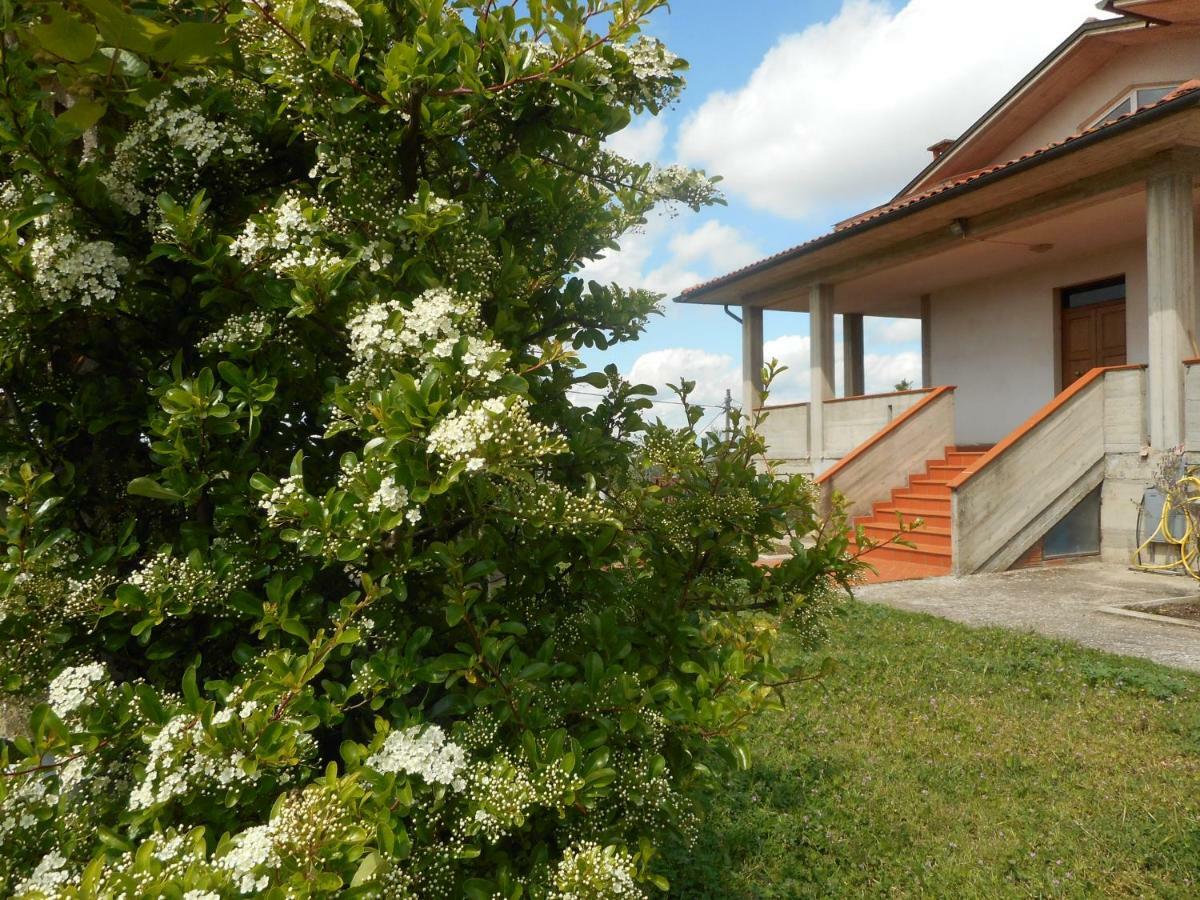 Poggio Fiorito Apartment Castiglion Fiorentino Exterior photo